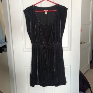 Grey Velvet J. Crew Dress
